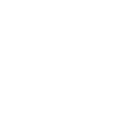 Regex IT Solutions logo